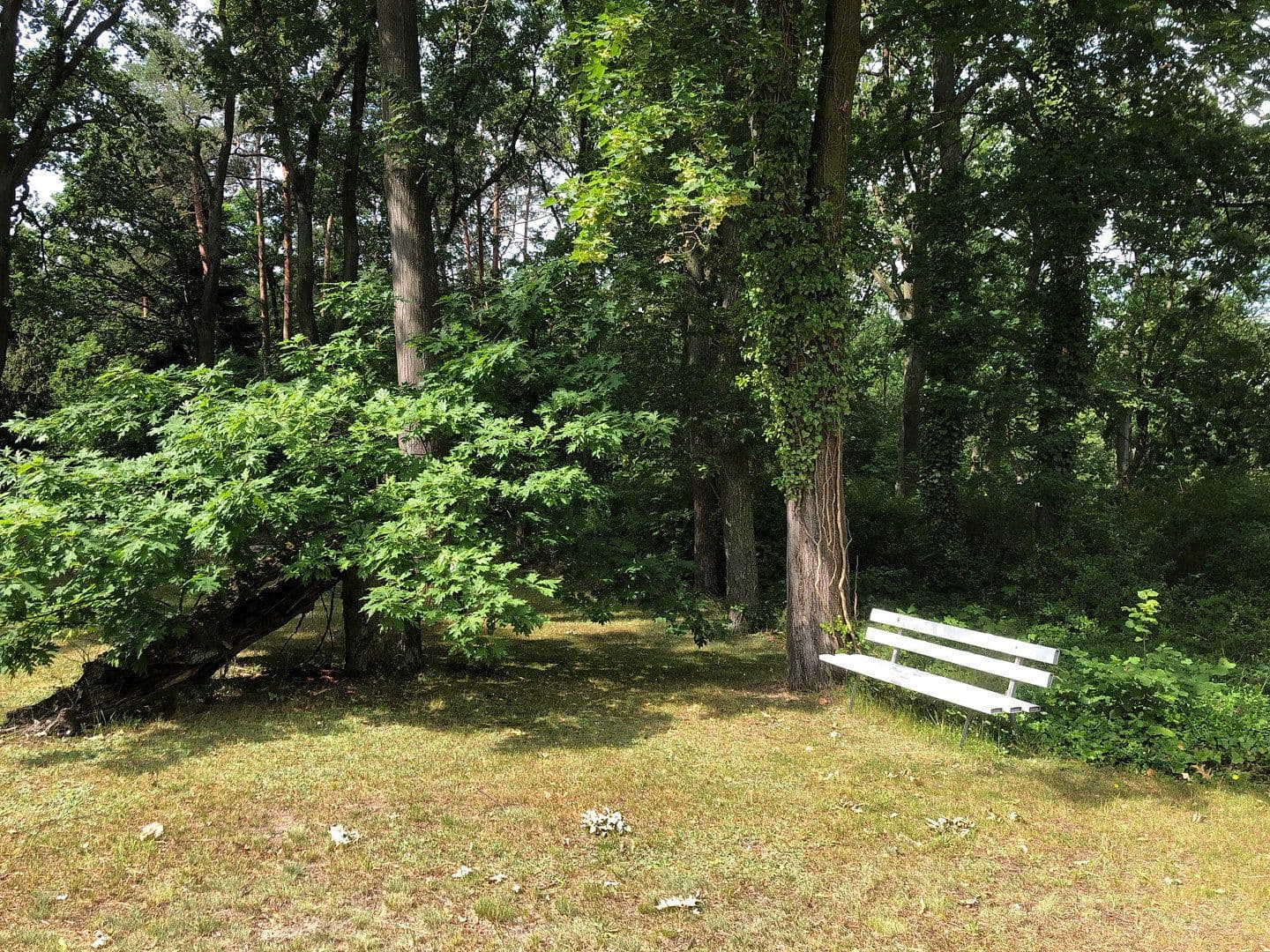 Pronájem kanceláře 17 m², Friedrichshagener Str. 1-4, Schöneiche bei Berlin, Braniborsko Pronájem kanceláře 17 m², Friedrichshagener Str. 1-4, Schöneiche bei Berlin, Braniborsko