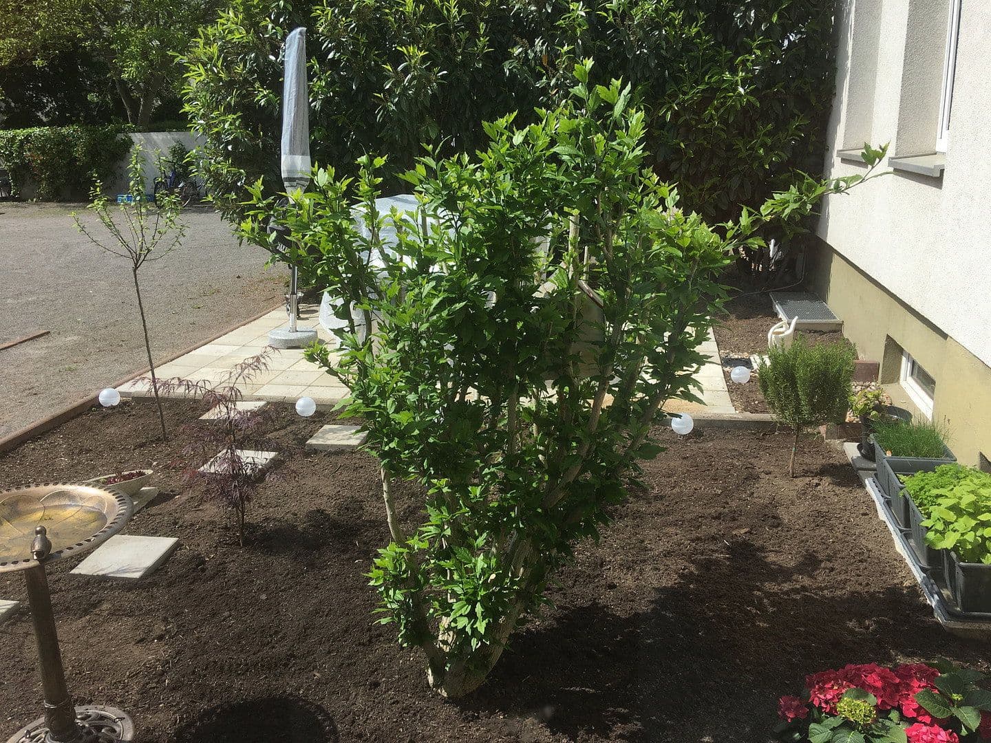 Pronájem kanceláře 540 m², Mariannenstrasse 20, Dessau-Rosslau, Sasko-Anhaltsko Pronájem kanceláře 540 m², Mariannenstrasse 20, Dessau-Rosslau, Sasko-Anhaltsko