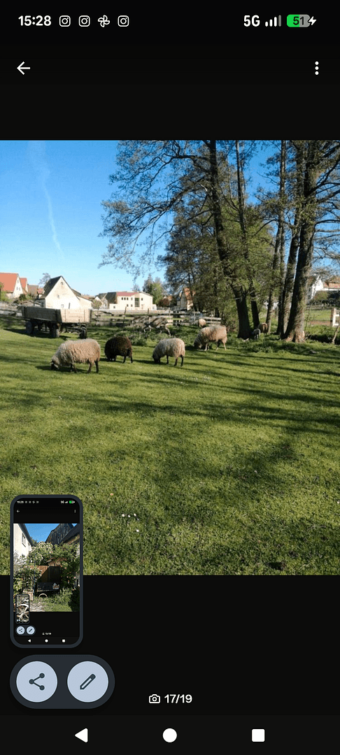 Prodej domu 180 m², pozemek 4.000 m², Wilhermsdorf, Bavorsko Prodej domu 180 m², pozemek 4.000 m², Wilhermsdorf, Bavorsko