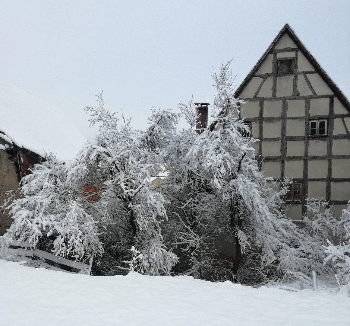 Prodej domu 180 m², pozemek 4.000 m², Wilhermsdorf, Bavorsko Prodej domu 180 m², pozemek 4.000 m², Wilhermsdorf, Bavorsko