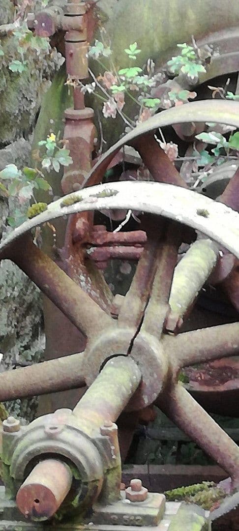 Prodej domu 180 m², pozemek 4.000 m², Wilhermsdorf, Bavorsko Prodej domu 180 m², pozemek 4.000 m², Wilhermsdorf, Bavorsko