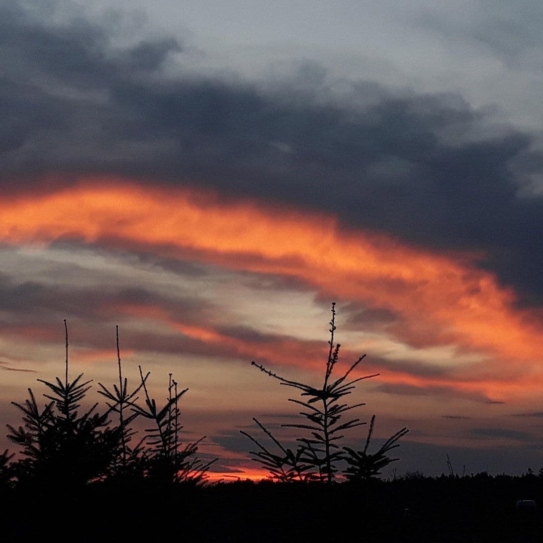 Pronájem bytu 3+1 60 m², Kliekener Schulstr. 2, Coswig (Anhalt), Sasko-Anhaltsko Pronájem bytu 3+1 60 m², Kliekener Schulstr. 2, Coswig (Anhalt), Sasko-Anhaltsko