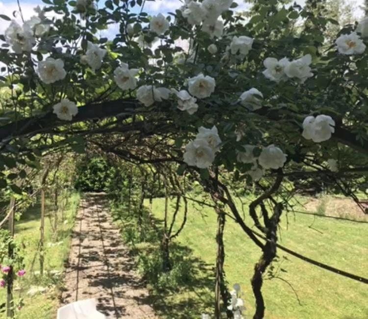 Prodej domu 300 m², pozemek 1.891 m², Lauchringen, Bádensko-Württembersko Prodej domu 300 m², pozemek 1.891 m², Lauchringen, Bádensko-Württembersko