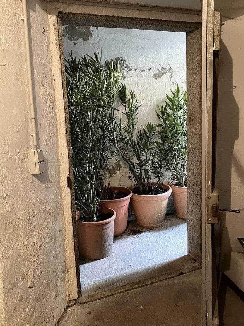 Prodej domu 300 m², pozemek 1.891 m², Lauchringen, Bádensko-Württembersko Prodej domu 300 m², pozemek 1.891 m², Lauchringen, Bádensko-Württembersko