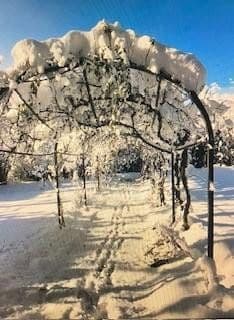 Prodej domu 300 m², pozemek 1.891 m², Lauchringen, Bádensko-Württembersko Prodej domu 300 m², pozemek 1.891 m², Lauchringen, Bádensko-Württembersko