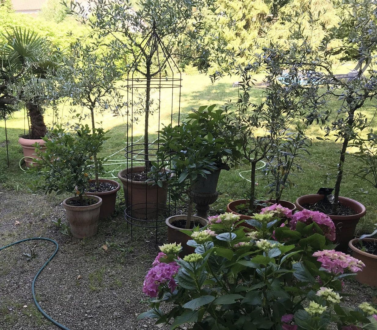 Prodej domu 300 m², pozemek 1.891 m², Lauchringen, Bádensko-Württembersko Prodej domu 300 m², pozemek 1.891 m², Lauchringen, Bádensko-Württembersko