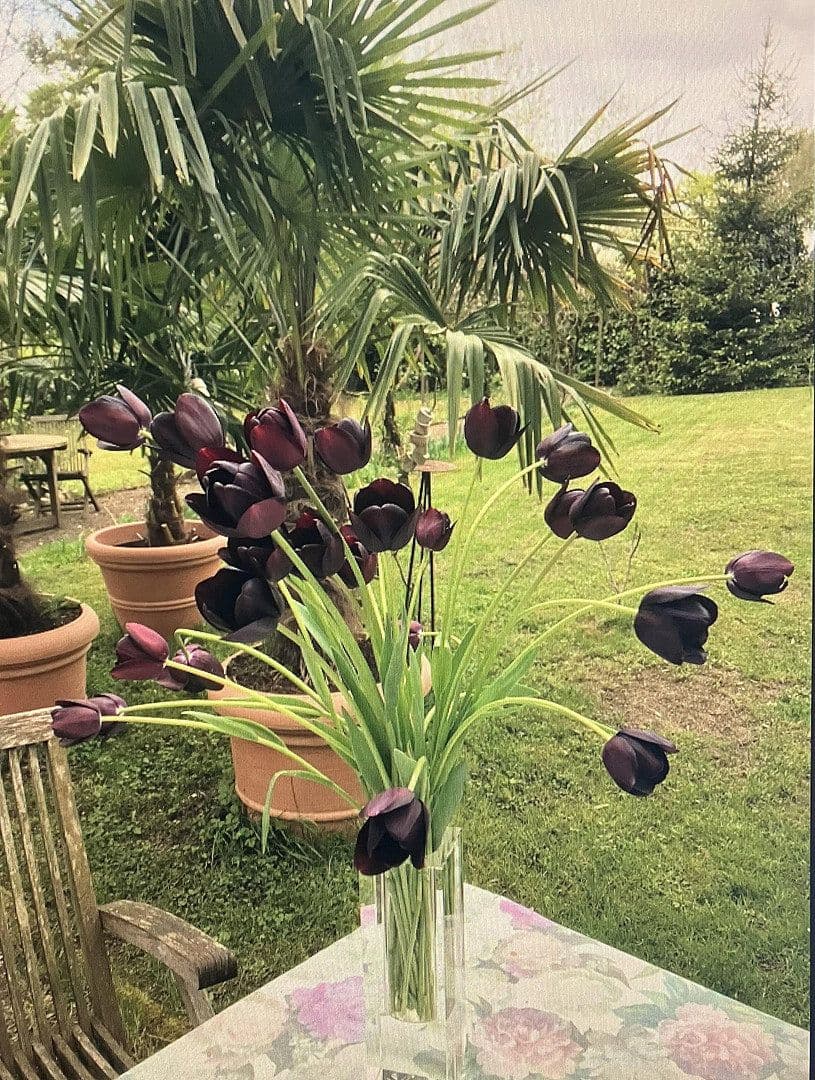 Prodej domu 300 m², pozemek 1.891 m², Lauchringen, Bádensko-Württembersko Prodej domu 300 m², pozemek 1.891 m², Lauchringen, Bádensko-Württembersko