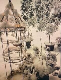 Prodej domu 300 m², pozemek 1.891 m², Lauchringen, Bádensko-Württembersko Prodej domu 300 m², pozemek 1.891 m², Lauchringen, Bádensko-Württembersko