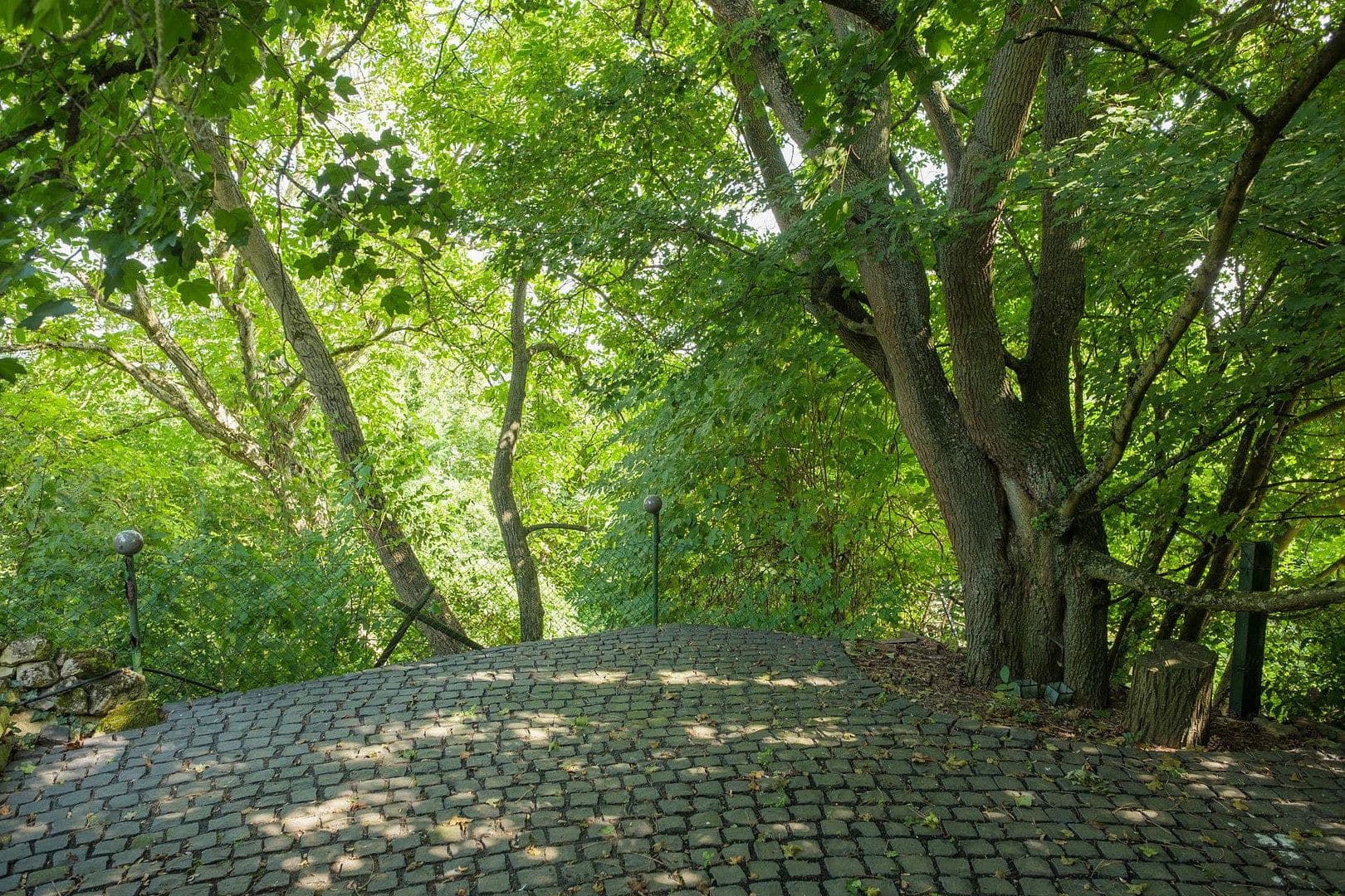 Prodej domu 228 m², pozemek 1.435 m², Ingelheim am Rhein, Porýní-Falc Prodej domu 228 m², pozemek 1.435 m², Ingelheim am Rhein, Porýní-Falc