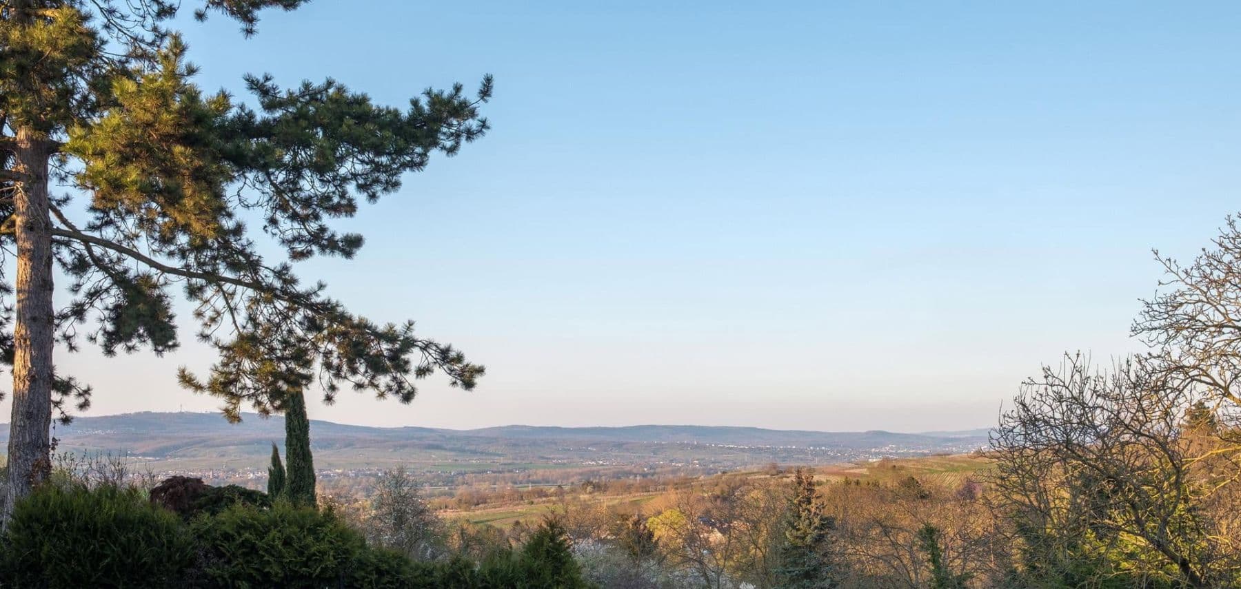 Prodej domu 228 m², pozemek 1.435 m², Ingelheim am Rhein, Porýní-Falc Prodej domu 228 m², pozemek 1.435 m², Ingelheim am Rhein, Porýní-Falc