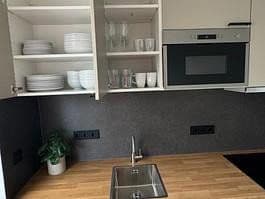 Pronájem bytu 1+1 15 m², Bültenweg 65b, Braunschweig, Dolní Sasko Pronájem bytu 1+1 15 m², Bültenweg 65b, Braunschweig, Dolní Sasko