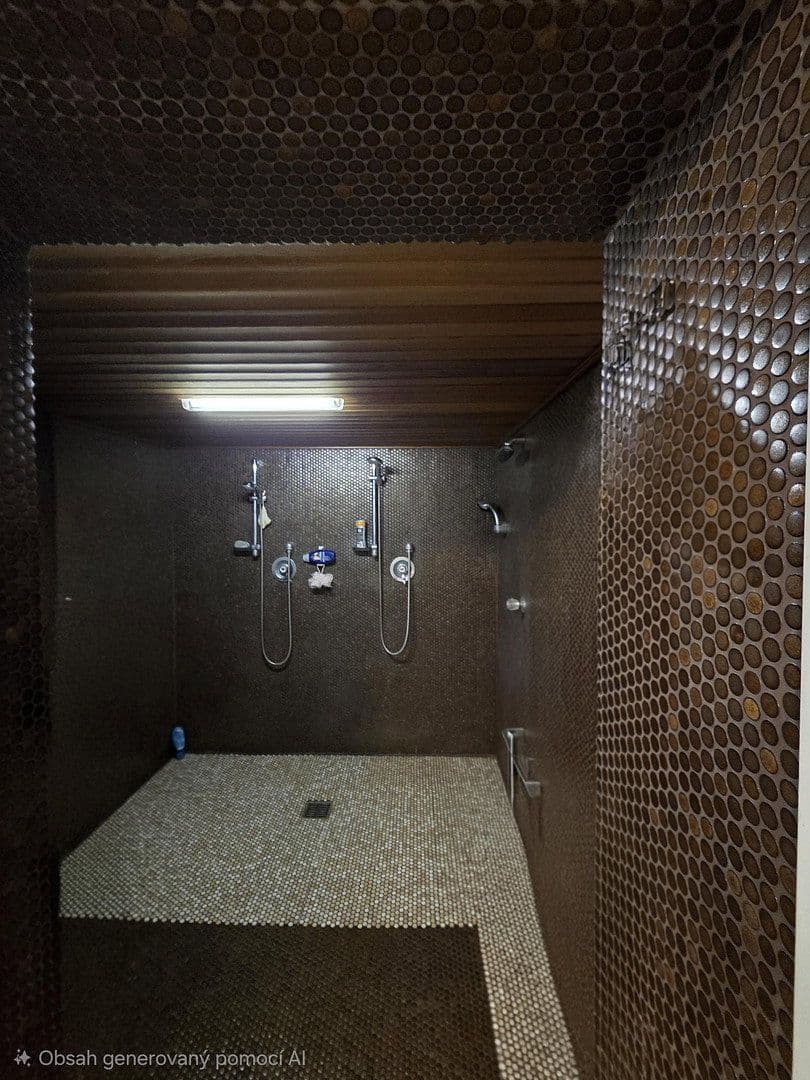 Prodej domu 224 m², pozemek 3.300 m², Arzberg, Bavorsko Prodej domu 224 m², pozemek 3.300 m², Arzberg, Bavorsko