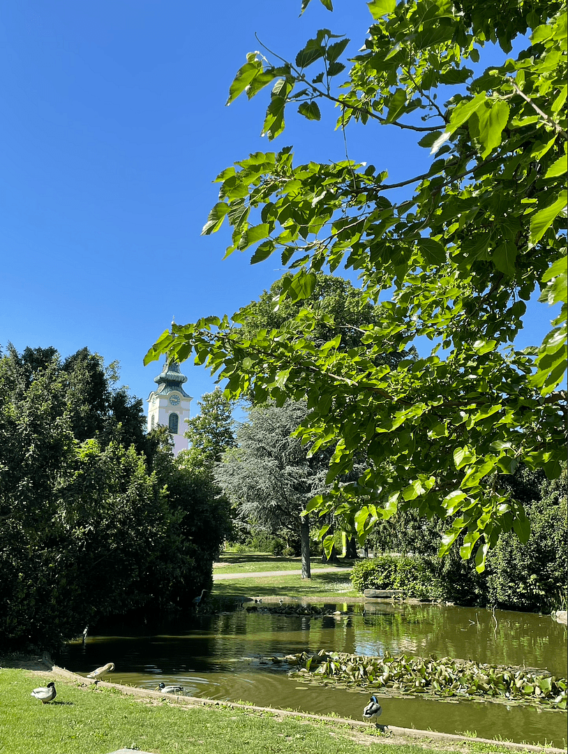 Prodej bytu 4+1 100 m², Franz-Asenbauer-Gasse, Wien, Wien Prodej bytu 4+1 100 m², Franz-Asenbauer-Gasse, Wien, Wien