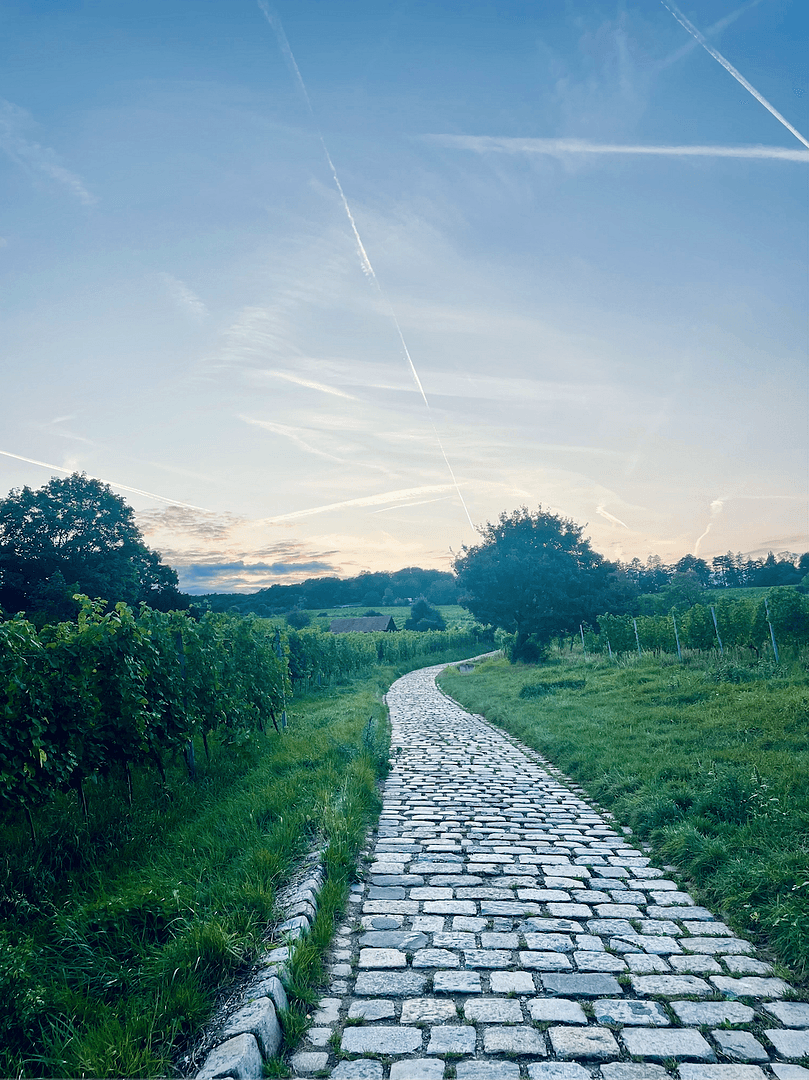 Prodej bytu 4+1 100 m², Franz-Asenbauer-Gasse, Wien, Wien Prodej bytu 4+1 100 m², Franz-Asenbauer-Gasse, Wien, Wien