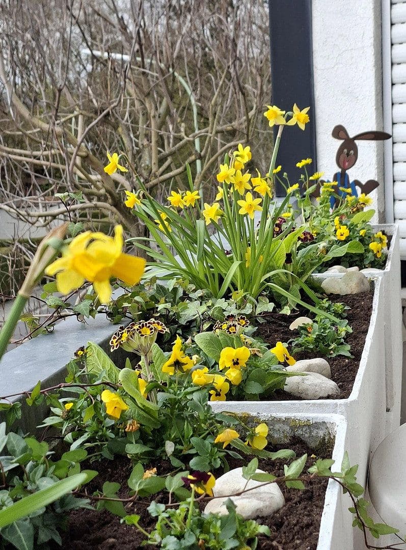 Pronájem bytu 1+1 51 m², Friedrichsdorf, Hessen Pronájem bytu 1+1 51 m², Friedrichsdorf, Hessen