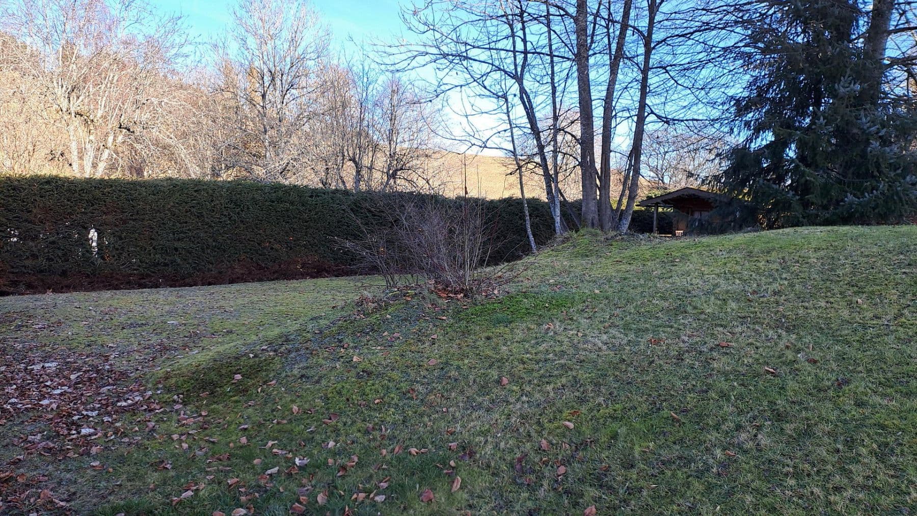 Prodej domu 436 m², pozemek 1.970 m², Erlenbachweg 22, Lenzkirch, Bádensko-Württembersko Prodej domu 436 m², pozemek 1.970 m², Erlenbachweg 22, Lenzkirch, Bádensko-Württembersko