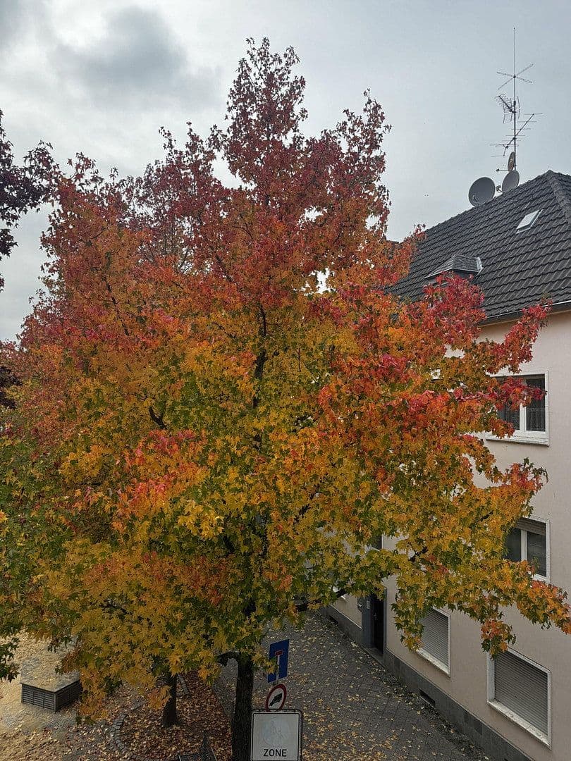 Pronájem bytu 3+1 66 m², Petersstrasse 59, Krefeld, Severní Porýní-Vestfálsko Pronájem bytu 3+1 66 m², Petersstrasse 59, Krefeld, Severní Porýní-Vestfálsko