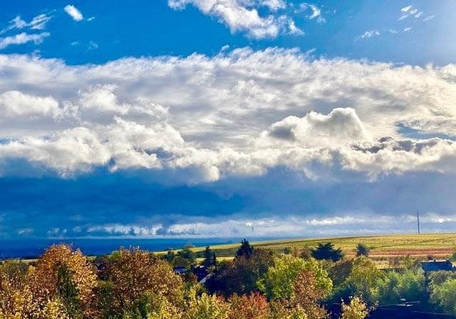 Prodej domu 270 m², pozemek 776 m², Weisenheim am Berg, Porýní-Falc Prodej domu 270 m², pozemek 776 m², Weisenheim am Berg, Porýní-Falc