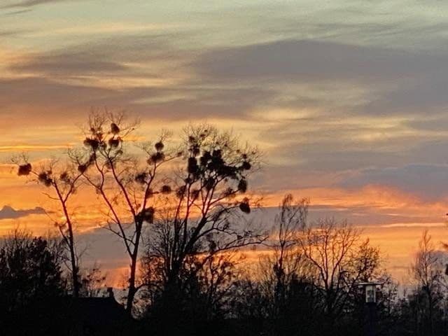 Prodej domu 100 m², pozemek 252 m², Luvweg 5C, Rechlin, Mecklenburg-Vorpommern Prodej domu 100 m², pozemek 252 m², Luvweg 5C, Rechlin, Mecklenburg-Vorpommern