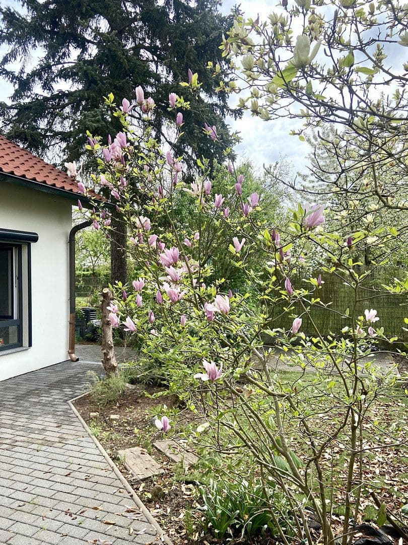 Prodej domu 125 m², pozemek 466 m², Bernau, Braniborsko Prodej domu 125 m², pozemek 466 m², Bernau, Braniborsko