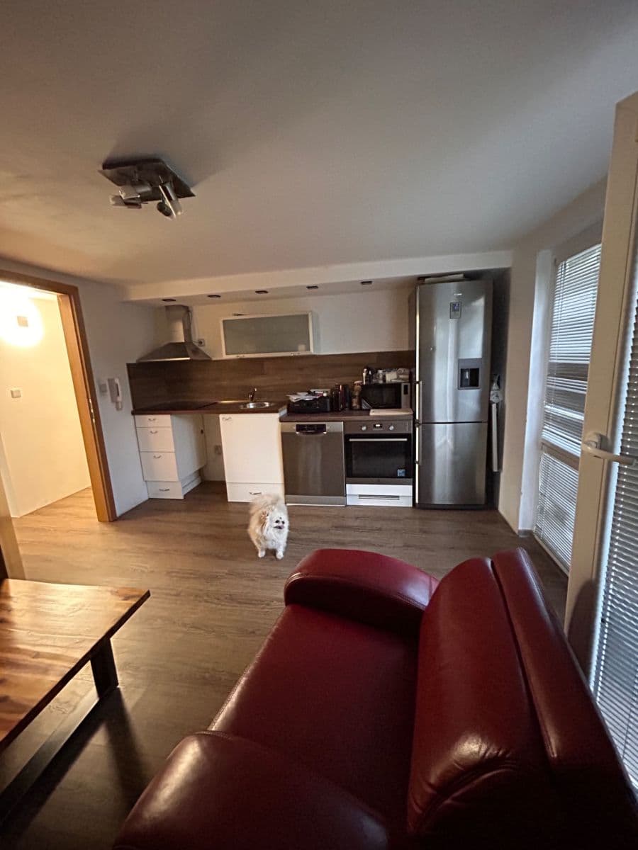 Pronájem bytu 2+kk 200 m², Křehlíkova, Brno, Jihomoravský kraj Pronájem bytu 2+kk 200 m², Křehlíkova, Brno, Jihomoravský kraj