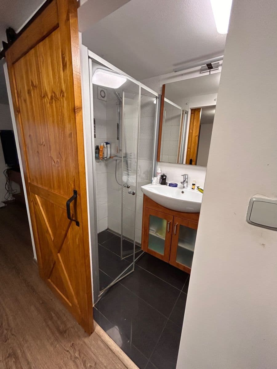 Pronájem bytu 2+kk 200 m², Křehlíkova, Brno, Jihomoravský kraj Pronájem bytu 2+kk 200 m², Křehlíkova, Brno, Jihomoravský kraj