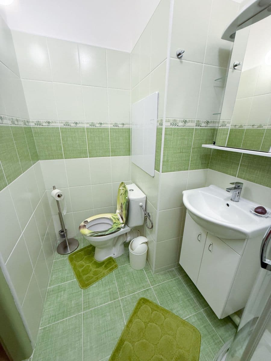 Pronájem bytu 1+1 36 m², Staňkova, Ostrava, Moravskoslezský kraj Pronájem bytu 1+1 36 m², Staňkova, Ostrava, Moravskoslezský kraj