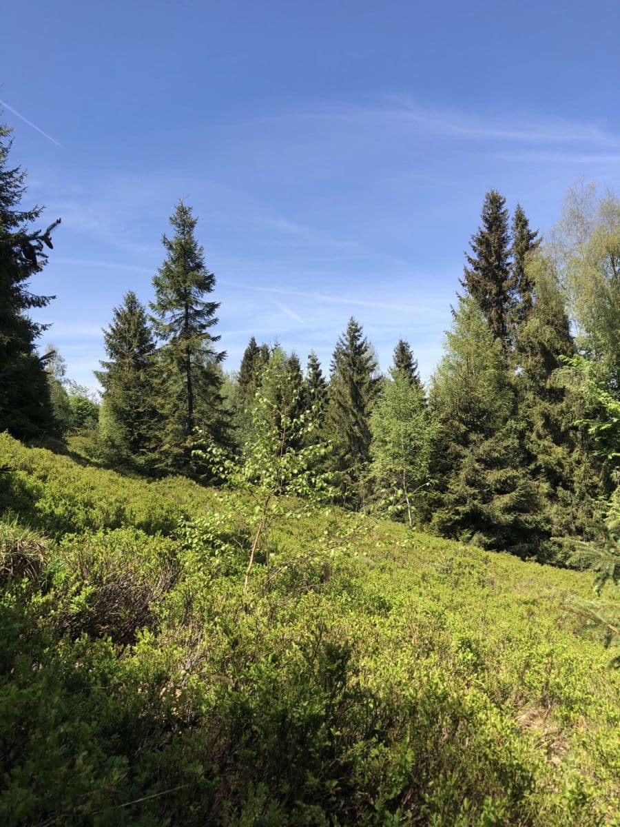 Prodej pozemku 126.857 m², Legnava, Prešovský kraj Prodej pozemku 126.857 m², Legnava, Prešovský kraj