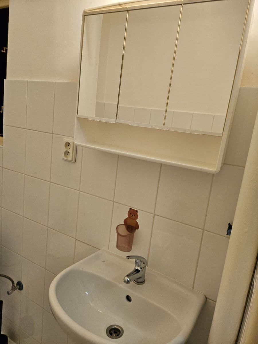 Pronájem bytu 1+kk 26 m², Vrchlického, Praha, Praha Pronájem bytu 1+kk 26 m², Vrchlického, Praha, Praha