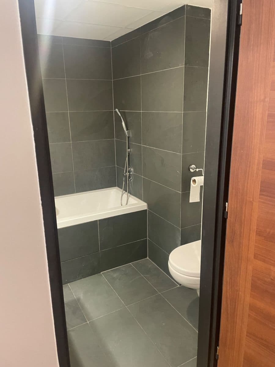Pronájem bytu 2+kk 52 m², Žerotínova, Praha, Praha Pronájem bytu 2+kk 52 m², Žerotínova, Praha, Praha