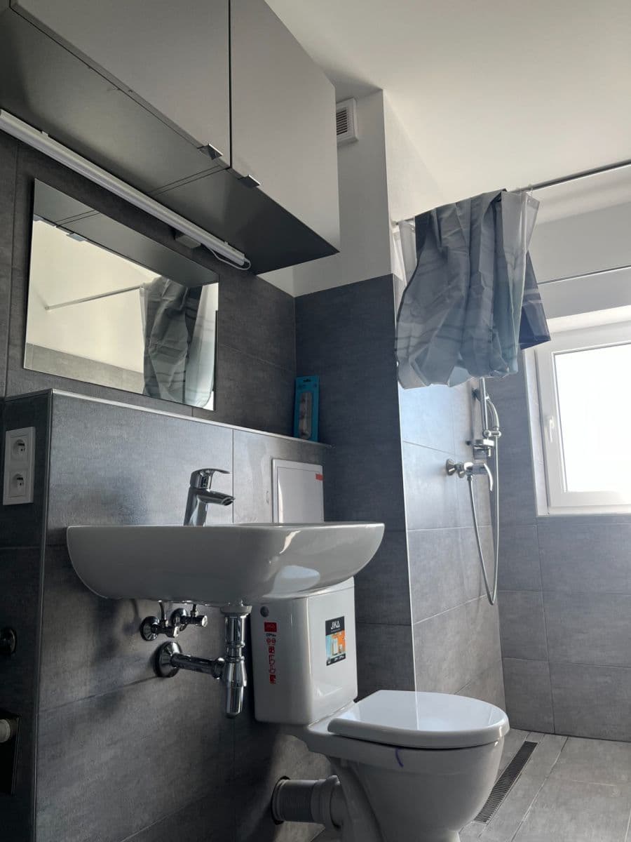 Pronájem bytu 1+kk 44 m², V Bytovkách, Praha, Praha Pronájem bytu 1+kk 44 m², V Bytovkách, Praha, Praha