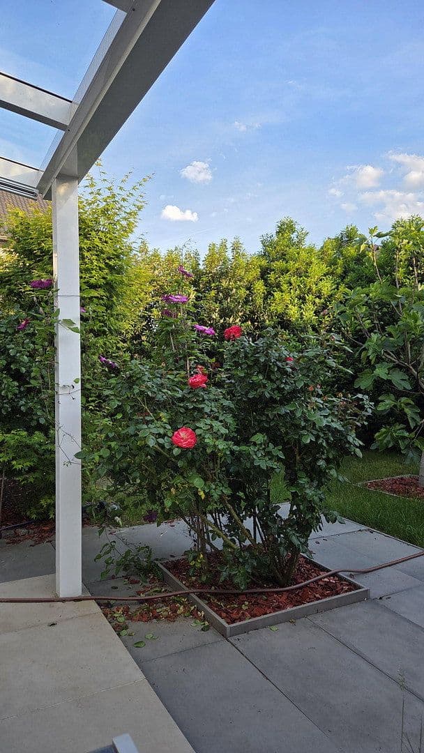 Prodej domu 138 m², pozemek 261 m², Bonn - Buschdorf, Severní Porýní-Vestfálsko Prodej domu 138 m², pozemek 261 m², Bonn - Buschdorf, Severní Porýní-Vestfálsko