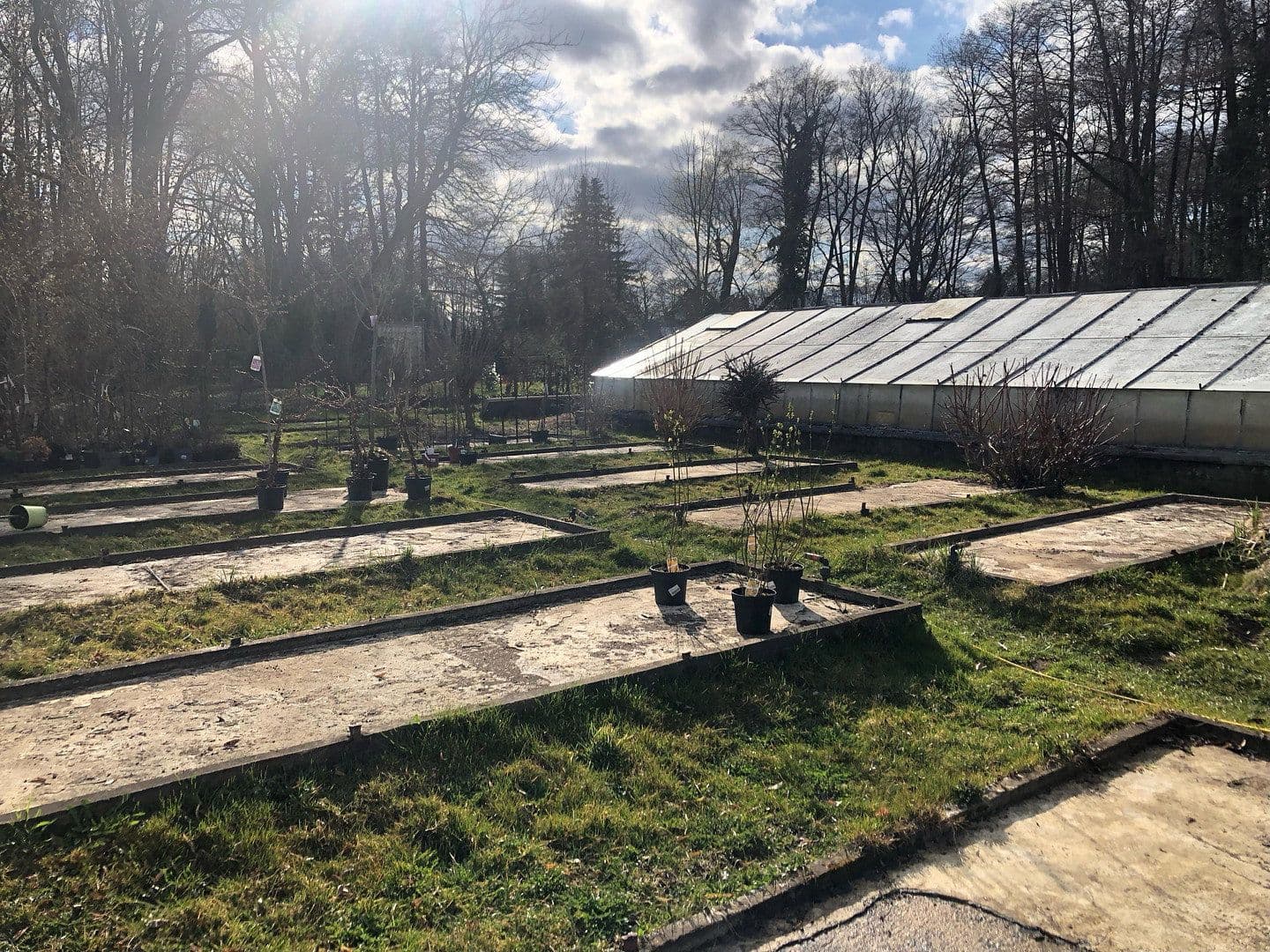 Prodej pozemku 4.300 m², Motzener Str. 8a, Bestensee, Braniborsko Prodej pozemku 4.300 m², Motzener Str. 8a, Bestensee, Braniborsko