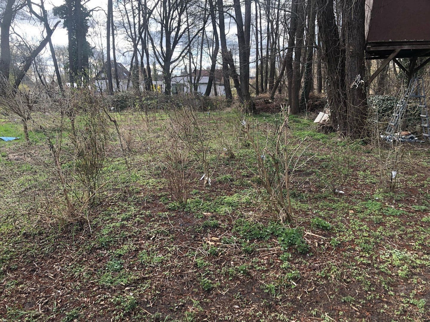 Prodej pozemku 4.300 m², Motzener Str. 8a, Bestensee, Braniborsko Prodej pozemku 4.300 m², Motzener Str. 8a, Bestensee, Braniborsko