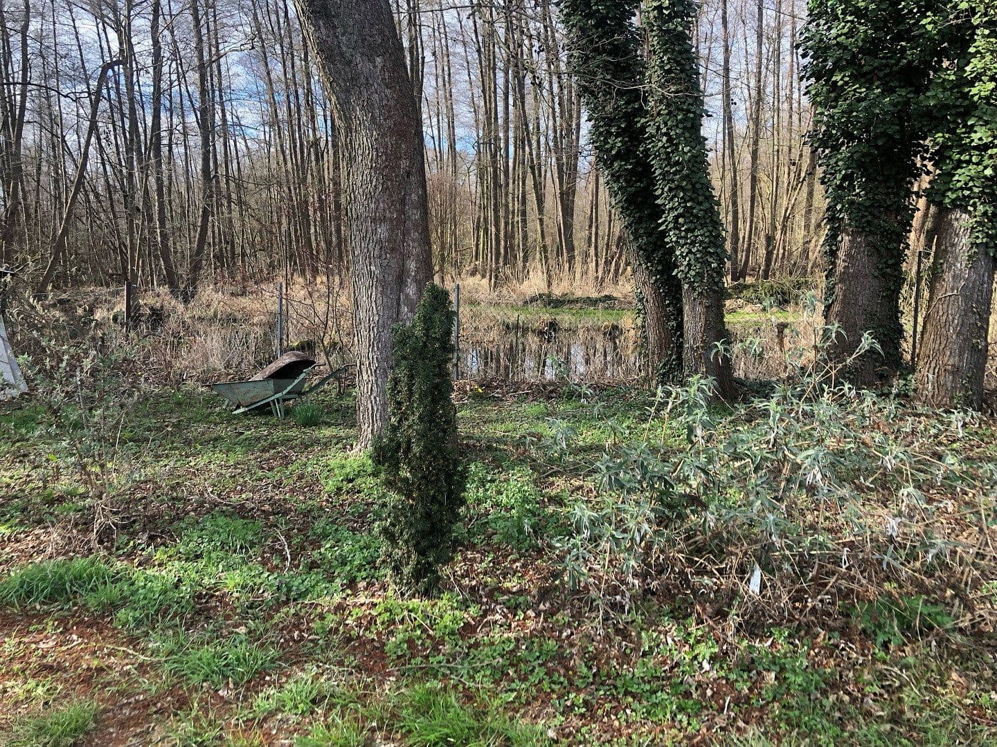 Prodej pozemku 4.300 m², Motzener Str. 8a, Bestensee, Braniborsko Prodej pozemku 4.300 m², Motzener Str. 8a, Bestensee, Braniborsko