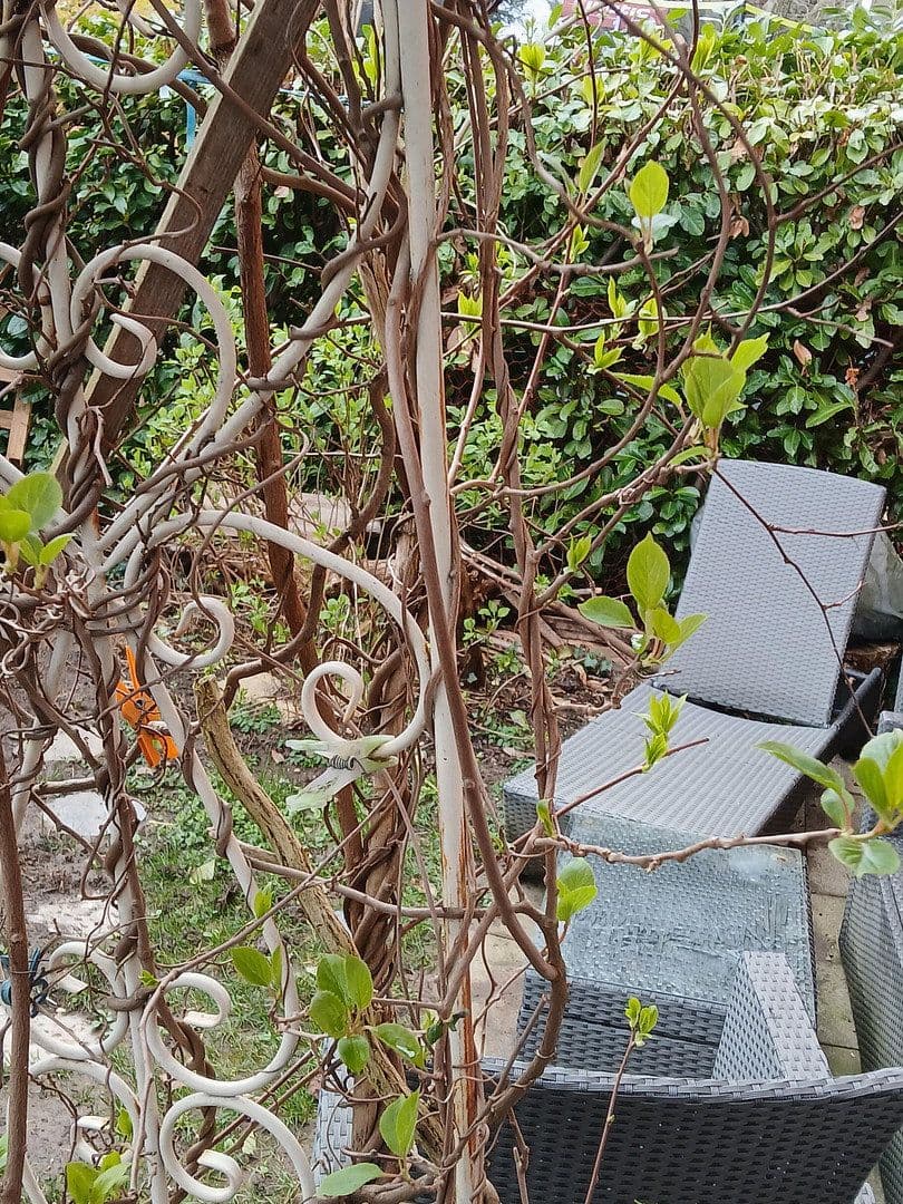 Prodej bytu 3+kk 88 m², Freiburg, Bádensko-Württembersko Prodej bytu 3+kk 88 m², Freiburg, Bádensko-Württembersko