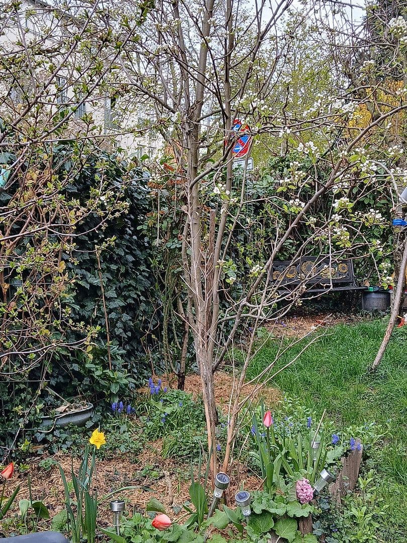 Prodej bytu 3+kk 88 m², Freiburg, Bádensko-Württembersko Prodej bytu 3+kk 88 m², Freiburg, Bádensko-Württembersko