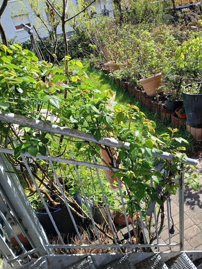 Prodej bytu 3+kk 88 m², Freiburg, Bádensko-Württembersko Prodej bytu 3+kk 88 m², Freiburg, Bádensko-Württembersko