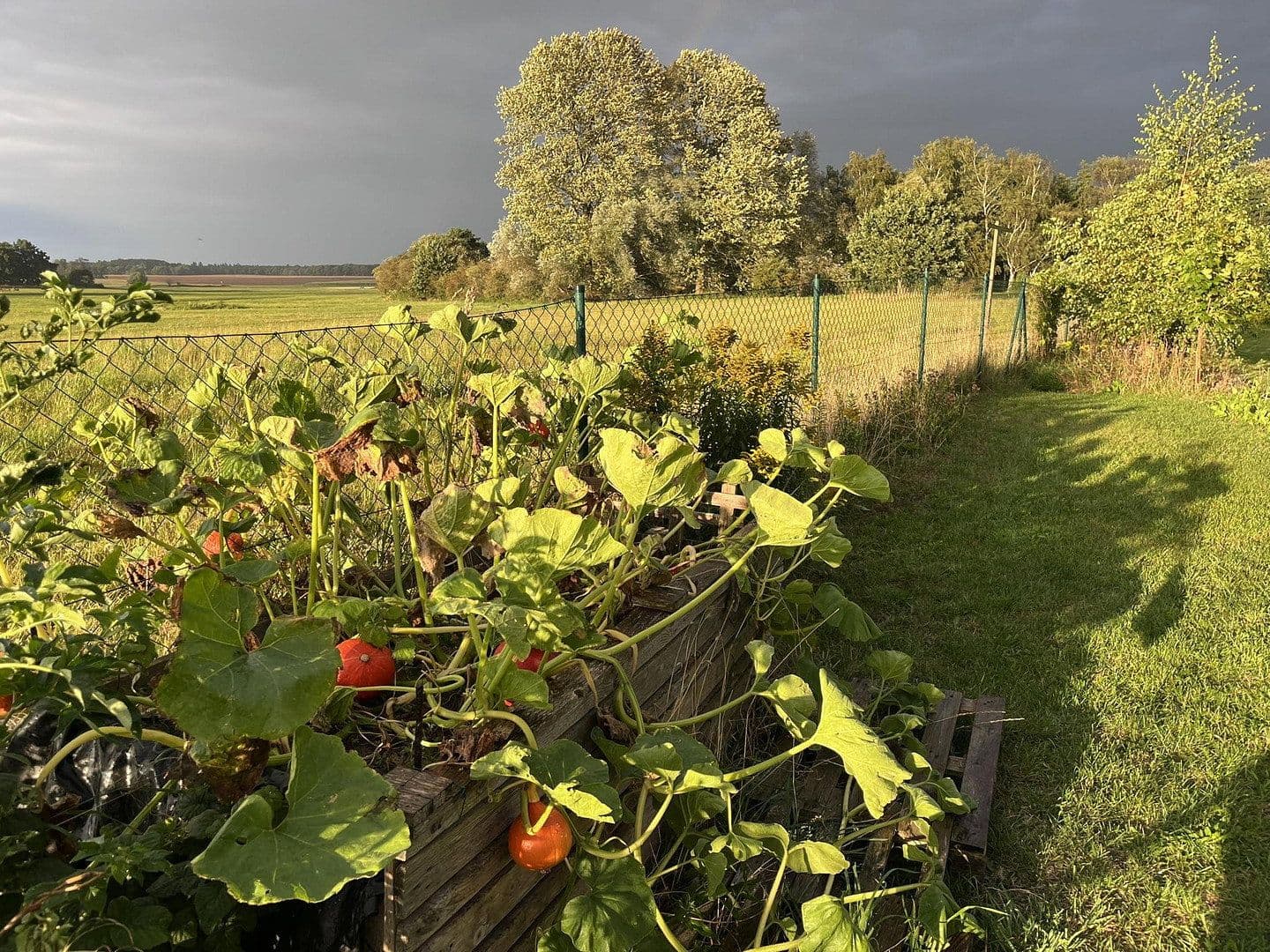 Prodej domu 60 m², pozemek 1.361 m², Biendorf, Mecklenburg-Vorpommern Prodej domu 60 m², pozemek 1.361 m², Biendorf, Mecklenburg-Vorpommern