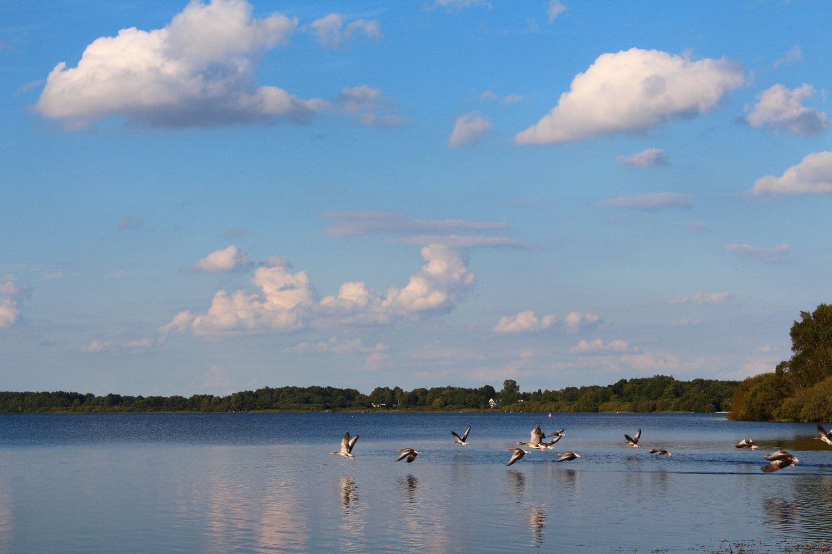 Pronájem domu 105 m², pozemek 283 m², Neumünster, Šlesvicko-Holštýnsko Pronájem domu 105 m², pozemek 283 m², Neumünster, Šlesvicko-Holštýnsko