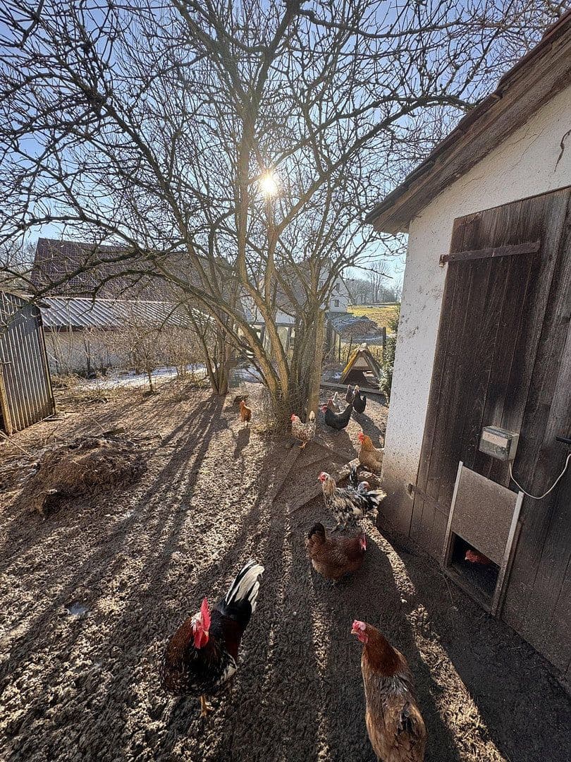 Prodej domu 137 m², pozemek 950 m², Wappeltshofen 4, Altdorf bei Nürnberg, Bavorsko Prodej domu 137 m², pozemek 950 m², Wappeltshofen 4, Altdorf bei Nürnberg, Bavorsko