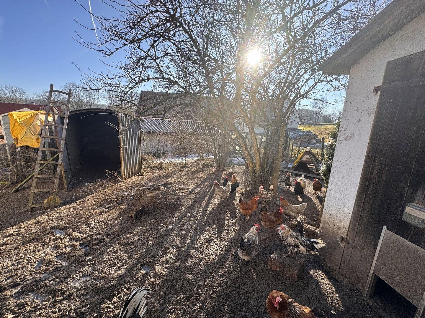 Prodej domu 137 m², pozemek 950 m², Wappeltshofen 4, Altdorf bei Nürnberg, Bavorsko Prodej domu 137 m², pozemek 950 m², Wappeltshofen 4, Altdorf bei Nürnberg, Bavorsko