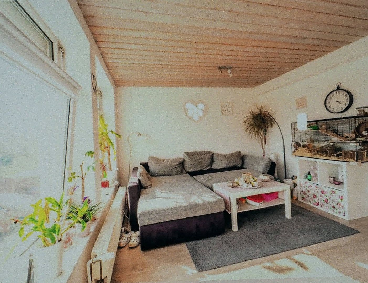 Prodej domu 126 m², pozemek 599 m², Oldenburg in Holstein, Šlesvicko-Holštýnsko Prodej domu 126 m², pozemek 599 m², Oldenburg in Holstein, Šlesvicko-Holštýnsko