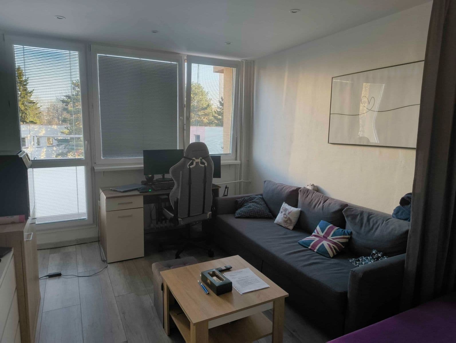 Pronájem bytu 1+1 46 m², J. Opletala, Frýdek-Místek, Moravskoslezský kraj Pronájem bytu 1+1 46 m², J. Opletala, Frýdek-Místek, Moravskoslezský kraj