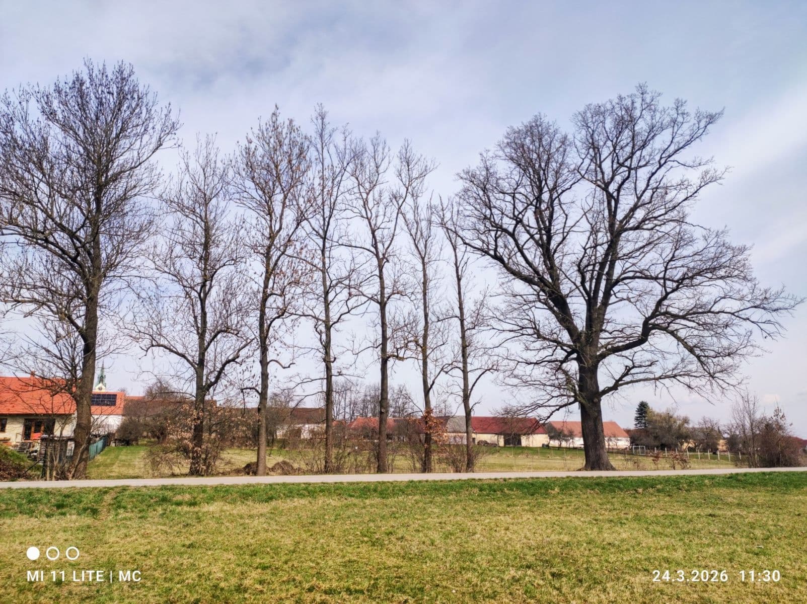 Prodej pozemku 1.400 m², Vrábče, Jihočeský kraj Prodej pozemku 1.400 m², Vrábče, Jihočeský kraj