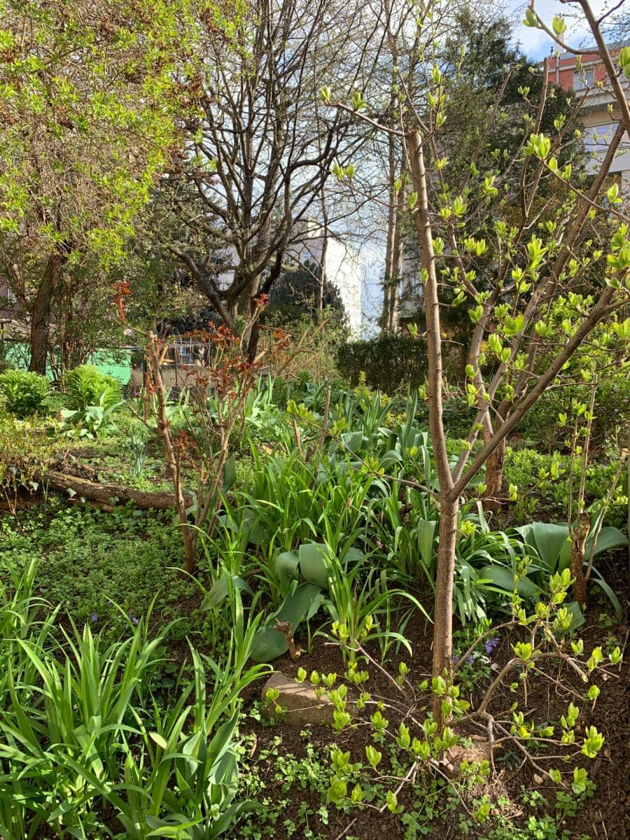 Pronájem bytu 2+1 43 m², Vršovická, Praha, Praha Pronájem bytu 2+1 43 m², Vršovická, Praha, Praha