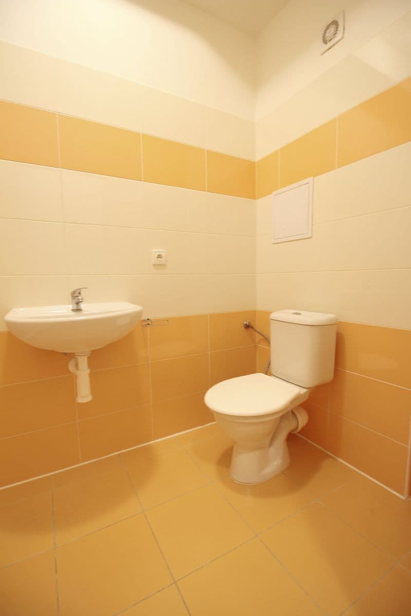 Pronájem bytu 1+kk 27 m², Otvovice, Středočeský kraj Pronájem bytu 1+kk 27 m², Otvovice, Středočeský kraj