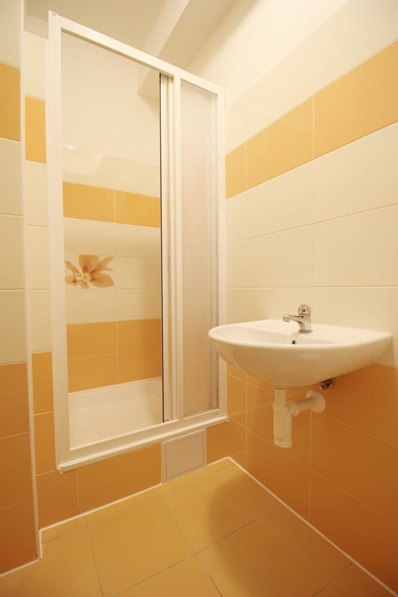 Pronájem bytu 1+kk 27 m², Otvovice, Středočeský kraj Pronájem bytu 1+kk 27 m², Otvovice, Středočeský kraj