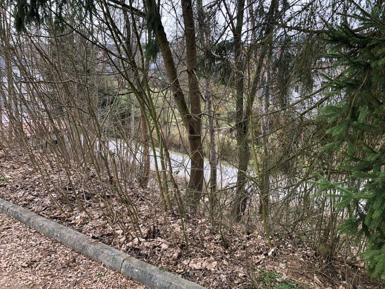 Prodej nebytového prostoru 560 m², Čsl. Legií, Jilemnice, Liberecký kraj Prodej nebytového prostoru 560 m², Čsl. Legií, Jilemnice, Liberecký kraj