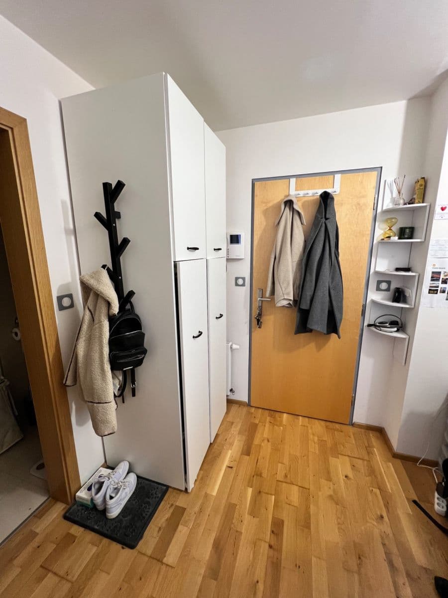 Pronájem bytu 1+kk 33 m², Palackého třída, Brno, Jihomoravský kraj Pronájem bytu 1+kk 33 m², Palackého třída, Brno, Jihomoravský kraj
